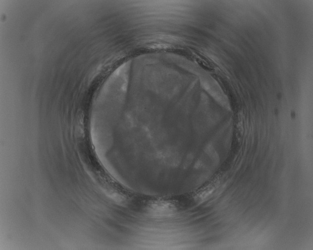 X0000067390547200604281845