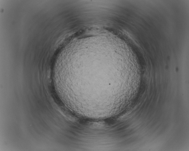 X0000067390548200604281845