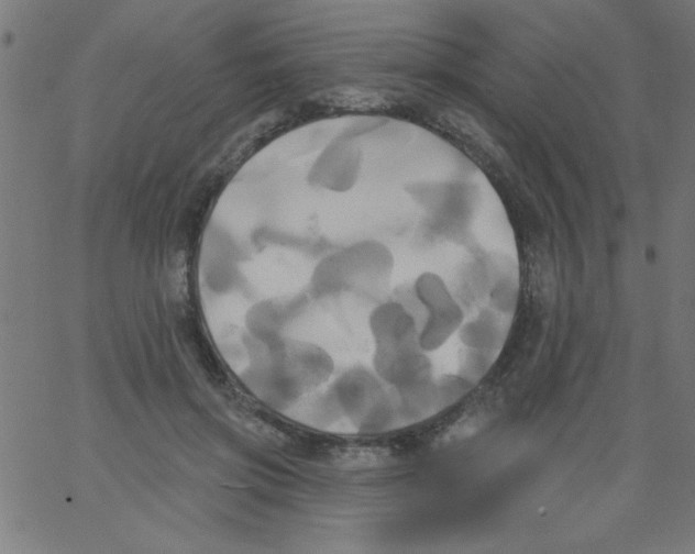 X0000067390549200604281845