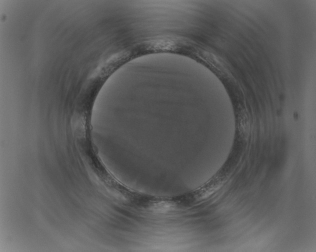 X0000067390551200604281845