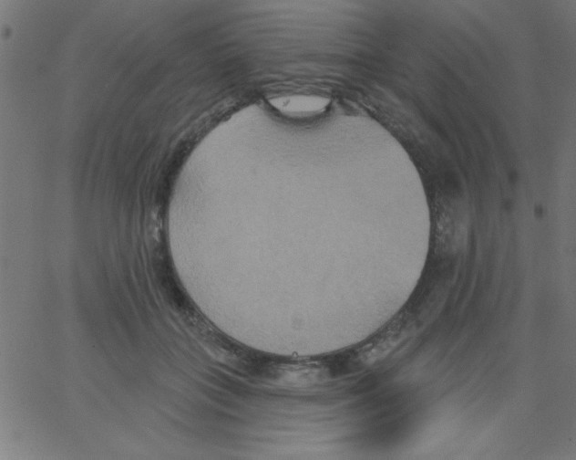 X0000067390555200604281845