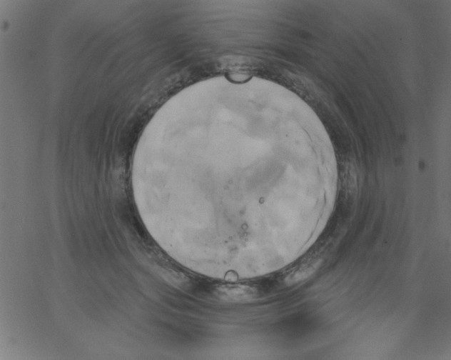 X0000067390557200604281845