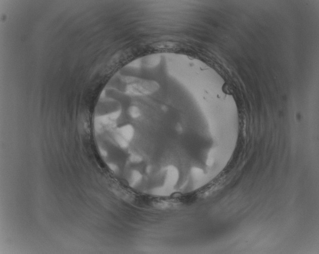 X0000067390561200604281845