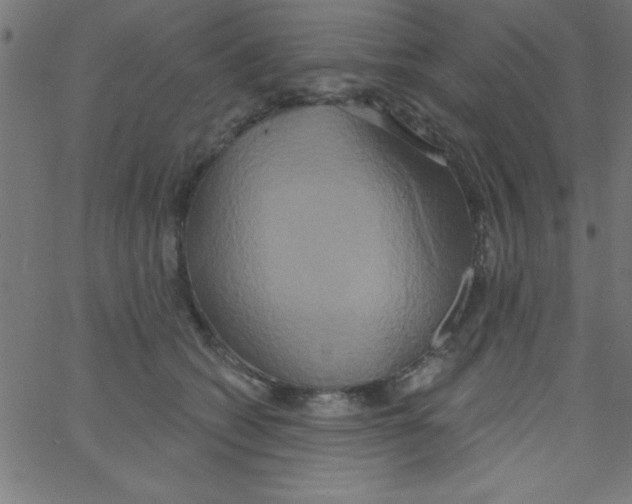 X0000067390562200604281845