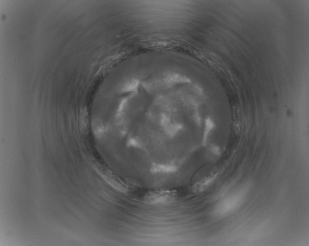 X0000067390563200604281845