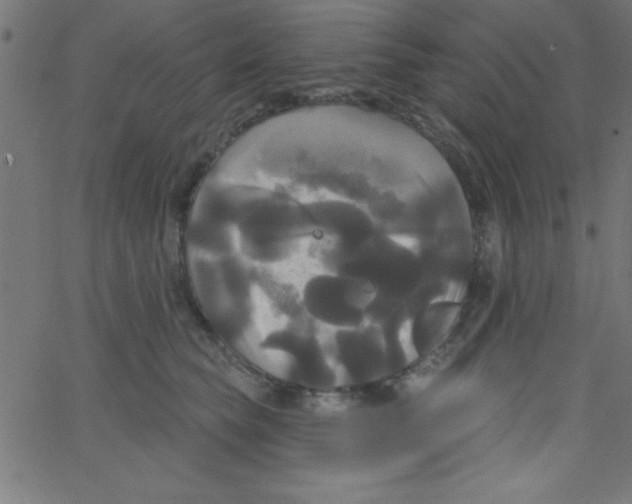 X0000067390565200604281845