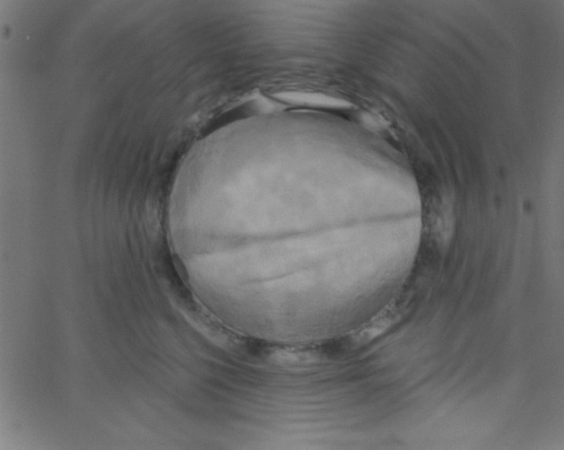 X0000067390568200604281845