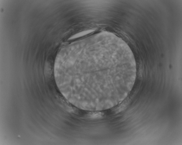 X0000067390569200604281845