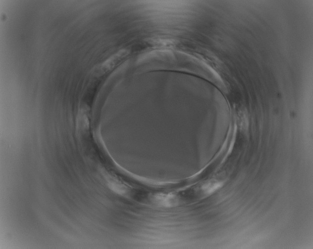 X0000067390570200604281845