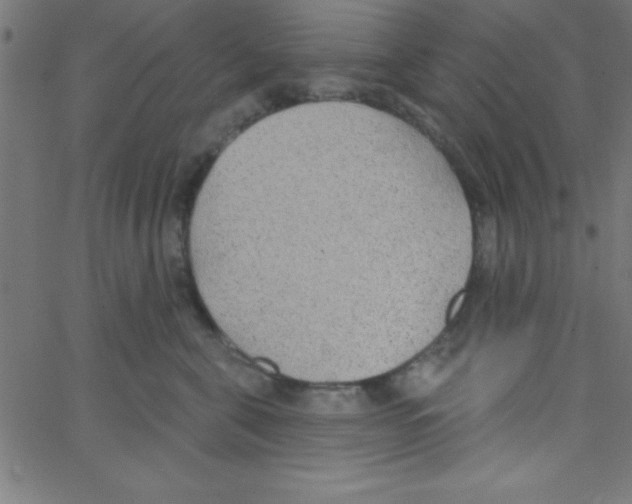 X0000067390571200604281845