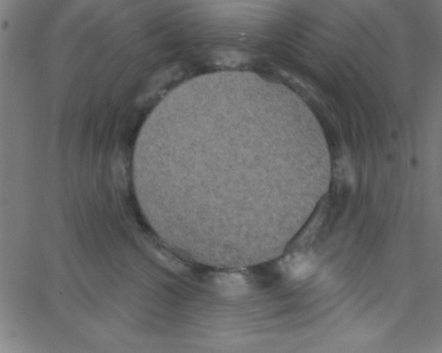 X0000067390572200604281845