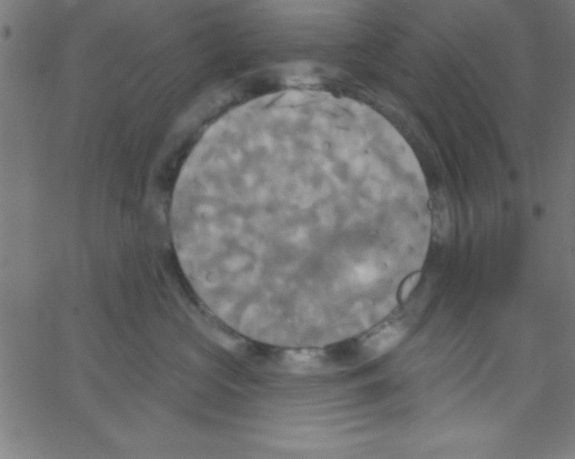 X0000067390573200604281845