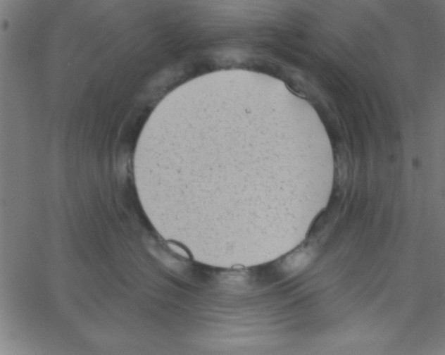 X0000067390574200604281845