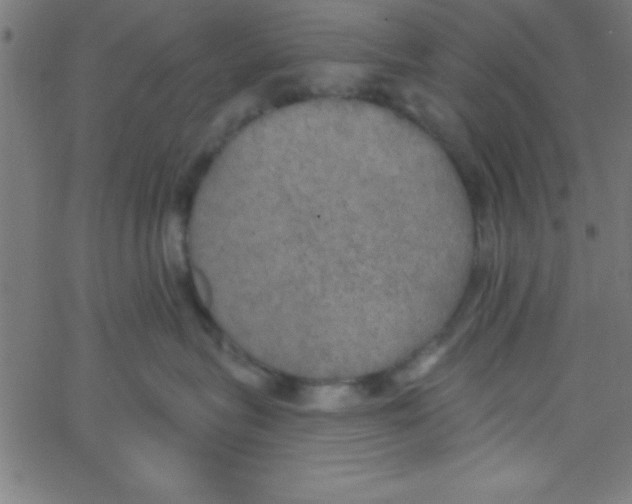 X0000067390575200604281845