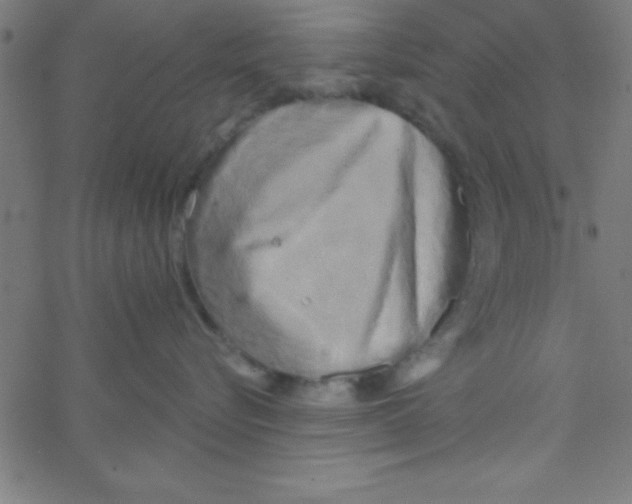 X0000067390576200604281845