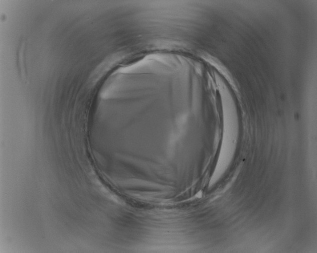 X0000067390577200604281844