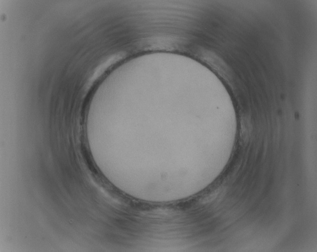 X0000067390578200604281844