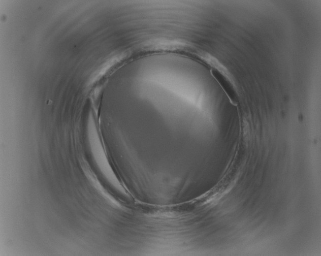 X0000067390581200604281844