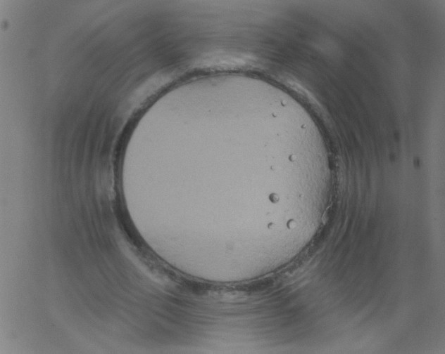 X0000067390582200604281844