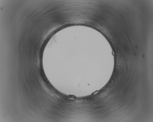 X0000067390584200604281844