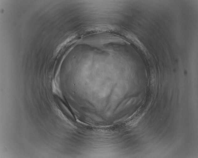 X0000067390585200604281844