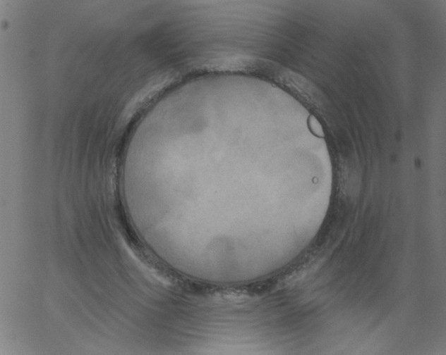 X0000067390586200604281844