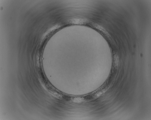 X0000067390587200604281844