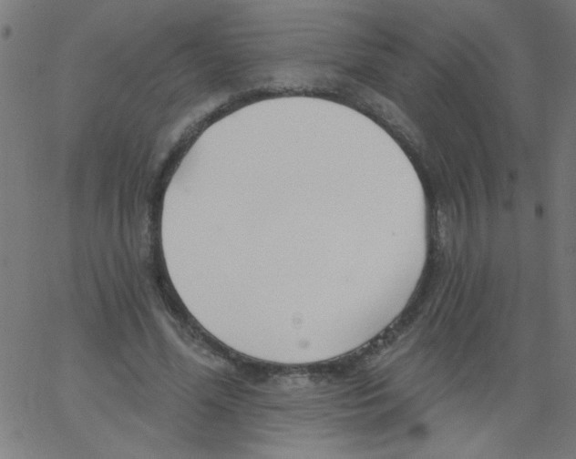 X0000067390588200604281844