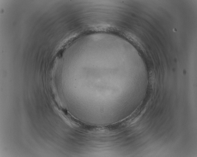 X0000067390589200604281844