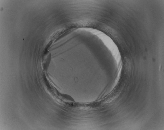 X0000067390590200604281844