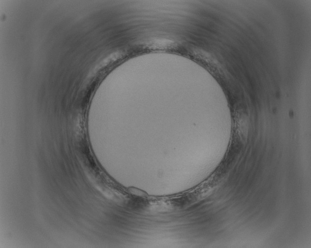 X0000067390591200604281844