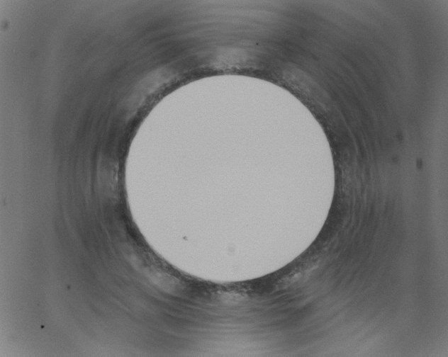 X0000067390592200604281844