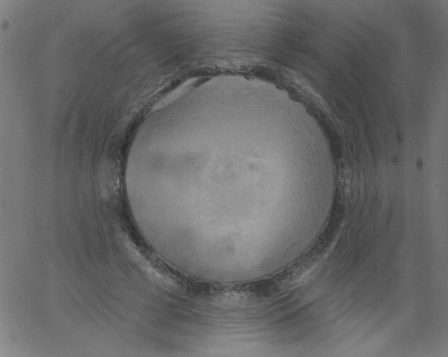 X0000067390593200604281844