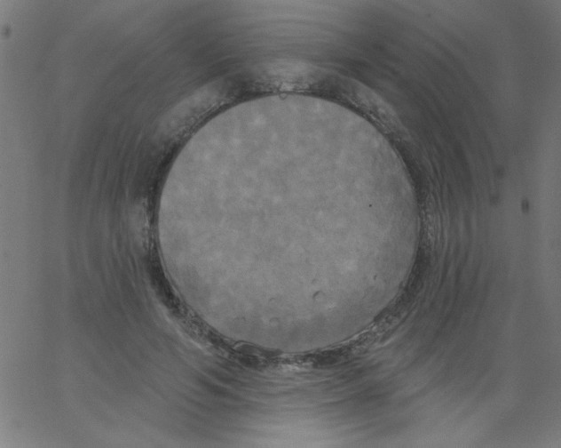 X0000067390594200604281844