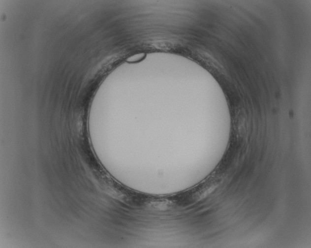 X0000067390595200604281844