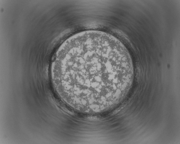 X0000067390596200604281844