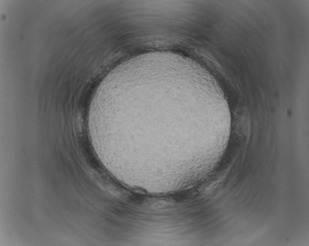 X0000067390597200604281844