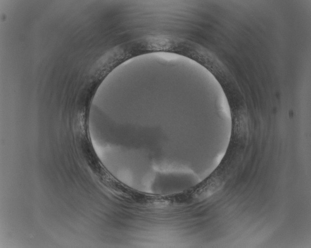 X0000067390598200604281844