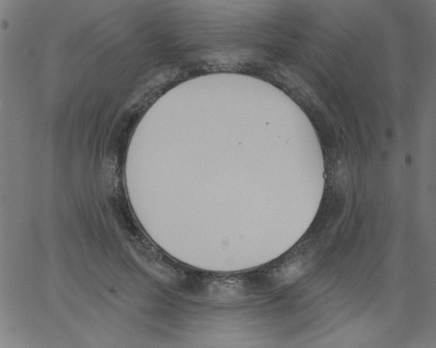 X0000067390599200604281844