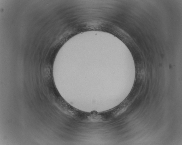 X0000067390603200604281844