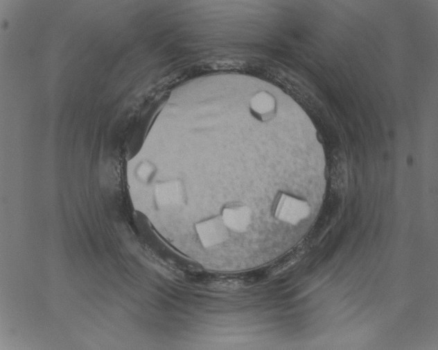 X0000067390604200604281844