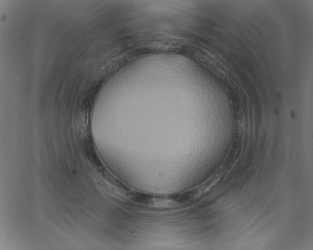 X0000067390605200604281844