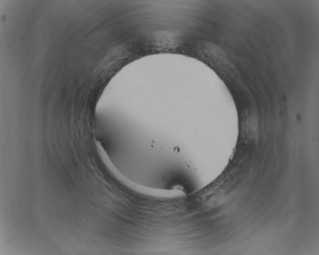 X0000067390608200604281844