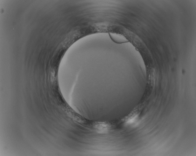 X0000067390610200604281844