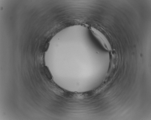 X0000067390613200604281844