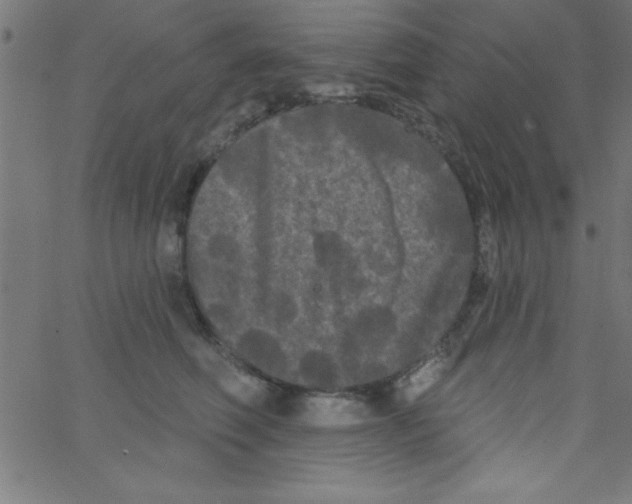 X0000067390614200604281844