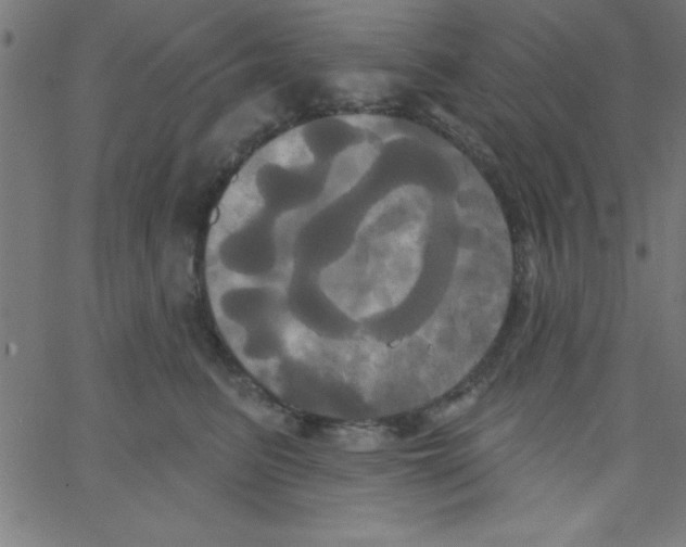 X0000067390615200604281844