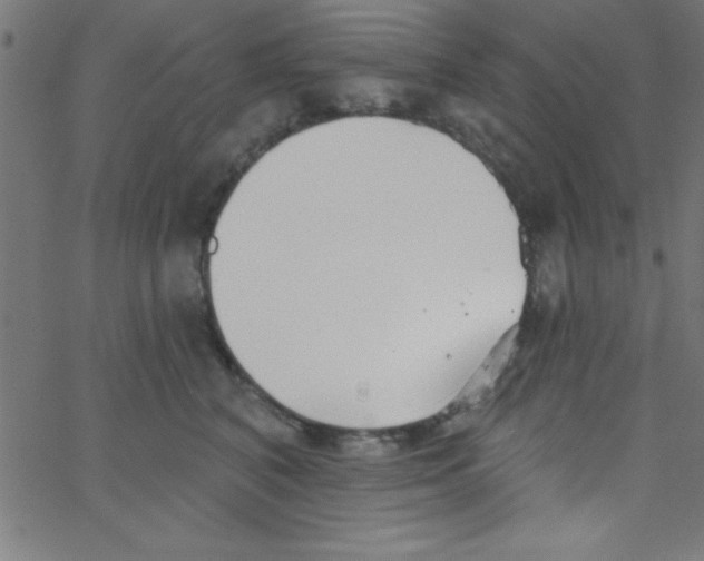 X0000067390616200604281844