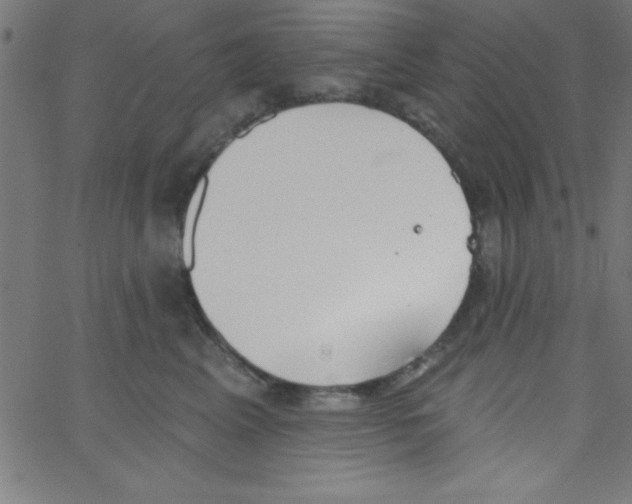 X0000067390617200604281844