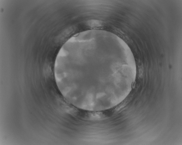 X0000067390618200604281844